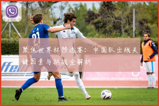 聚焦世界杯预选赛：中国队出线关键因素与挑战全解析