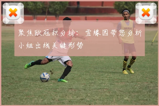 聚焦欧冠积分榜：雪缘园带您分析小组出线关键形势