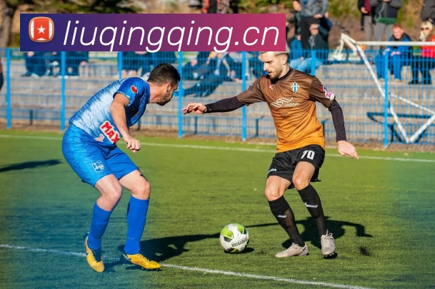 爱体育电子官网首页发展历程